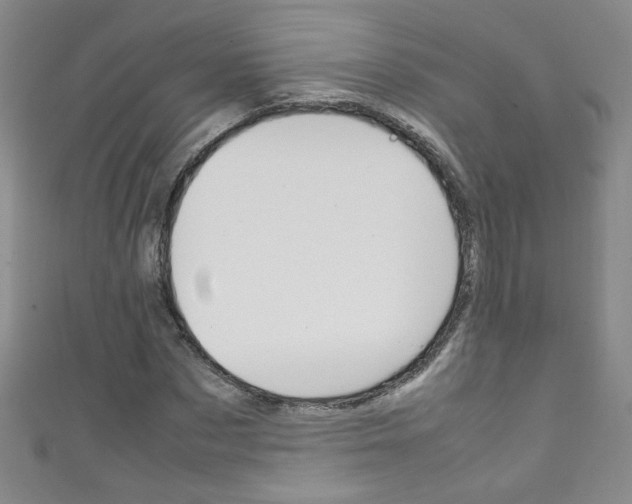 X0000111660873200907171117