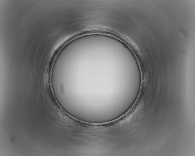 X0000111660877200907171117
