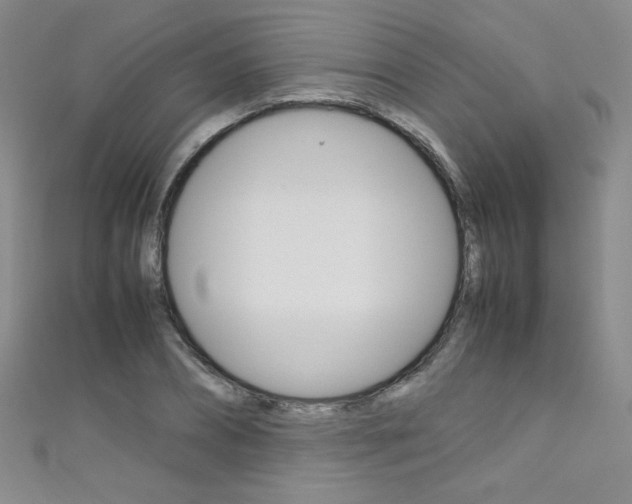 X0000111660882200907171117