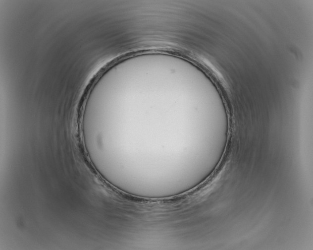 X0000111660883200907171117