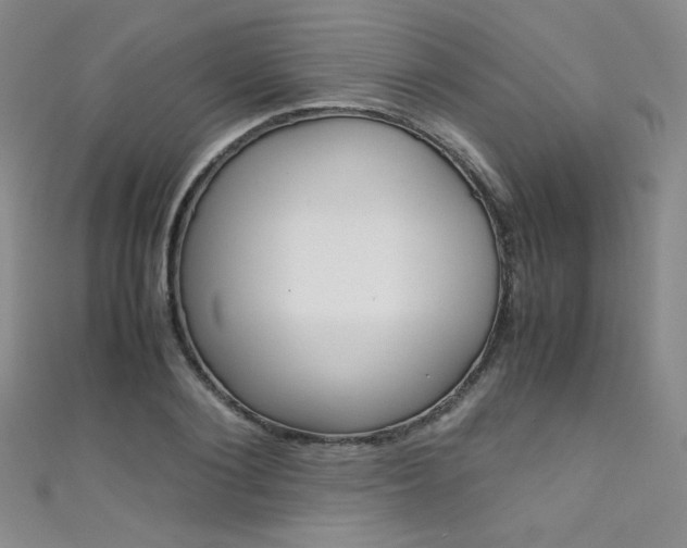 X0000111660884200907171117