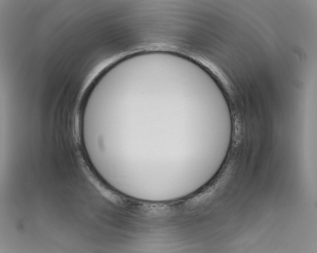 X0000111660886200907171117