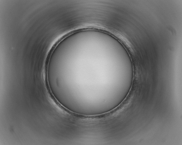 X0000111660888200907171117