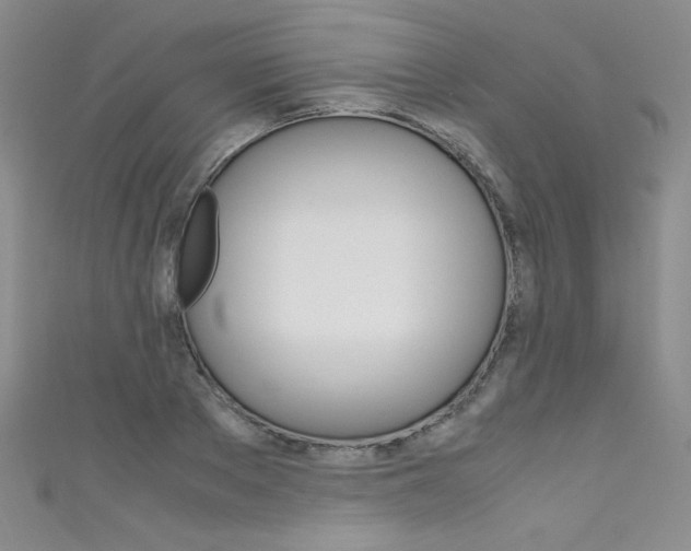 X0000111660889200907171117