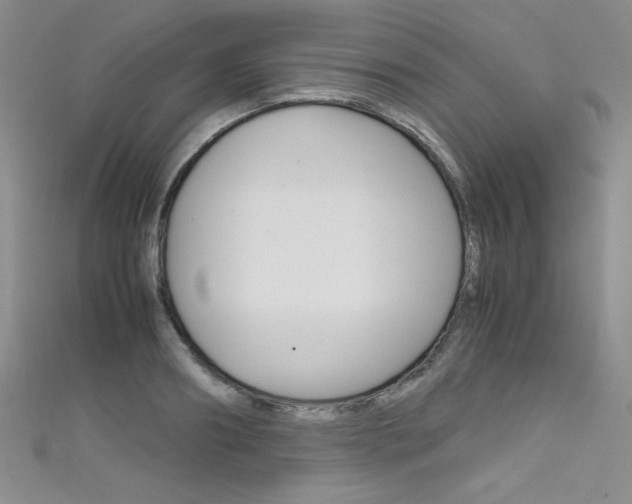 X0000111660890200907171117