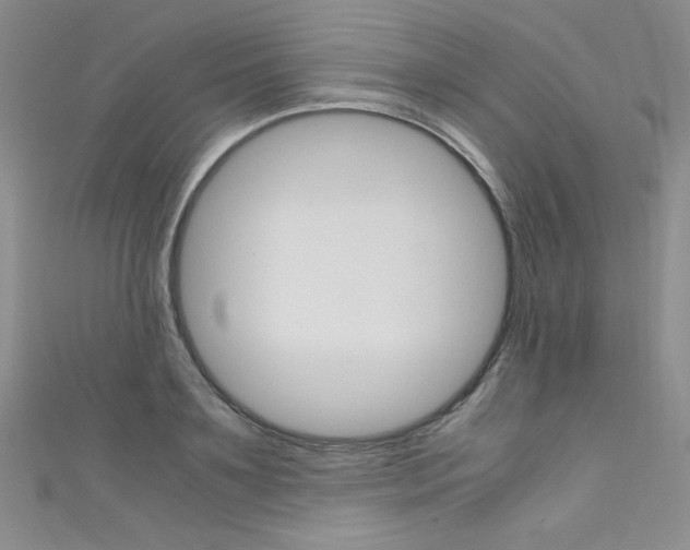 X0000111660891200907171117