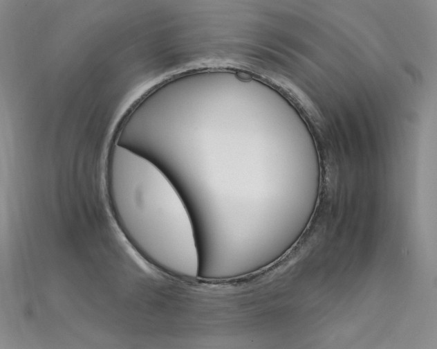 X0000111660894200907171117