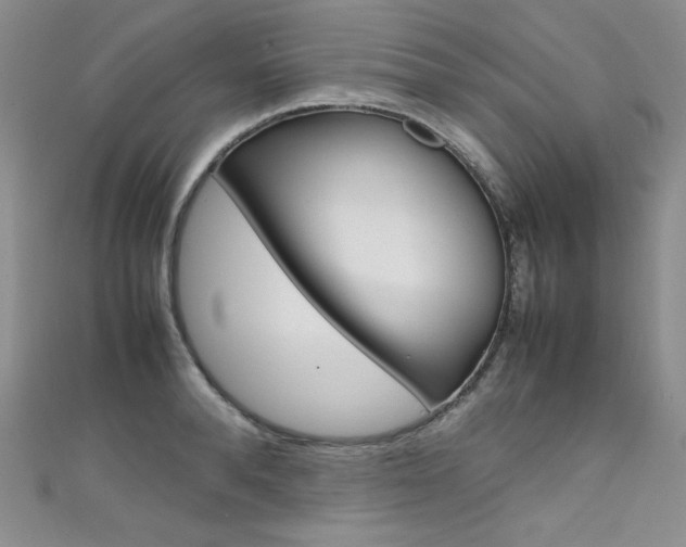 X0000111660896200907171117