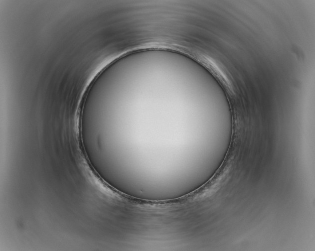 X0000111660900200907171117
