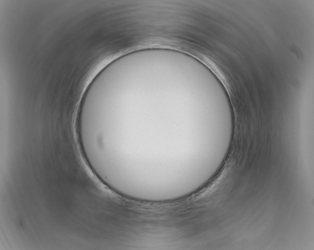 X0000111660901200907171117