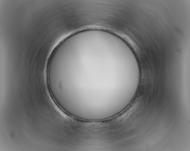 X0000111660902200907171117