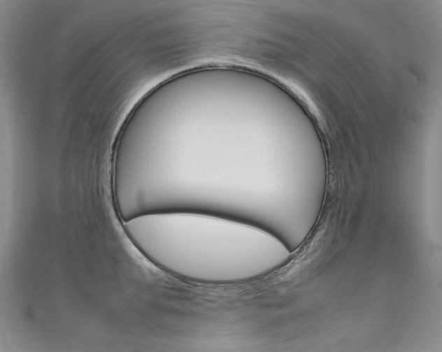 X0000111660903200907171117