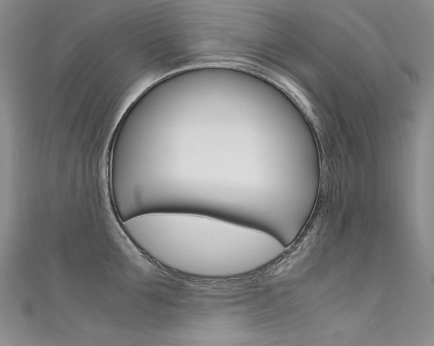 X0000111660907200907171117