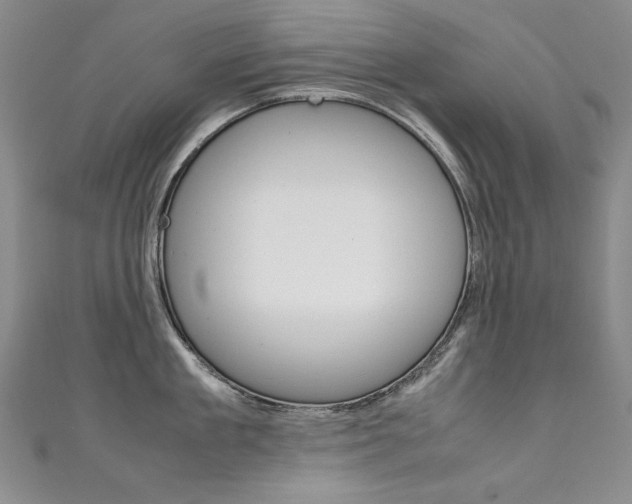 X0000111660909200907171117