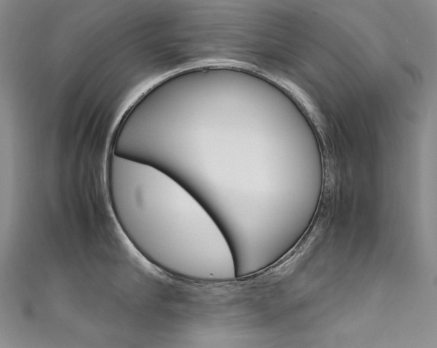X0000111660910200907171117