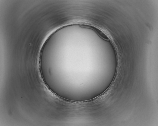 X0000111660912200907171117