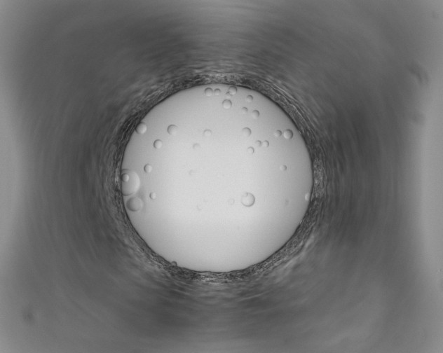 X0000111660913200907171116