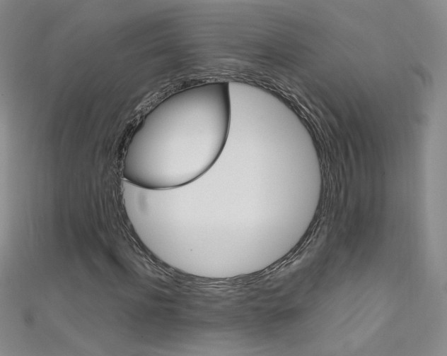 X0000111660916200907171116