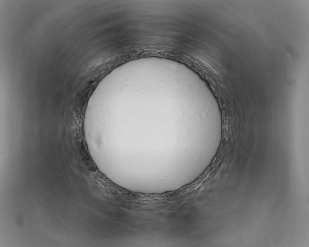X0000111660917200907171116