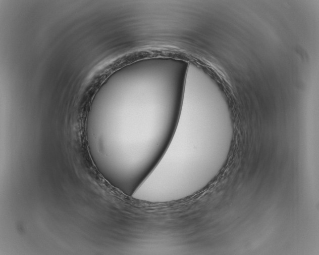 X0000111660920200907171116