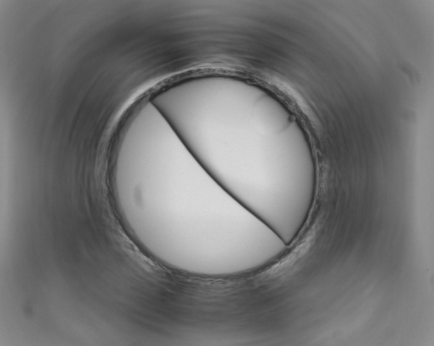 X0000111660923200907171116