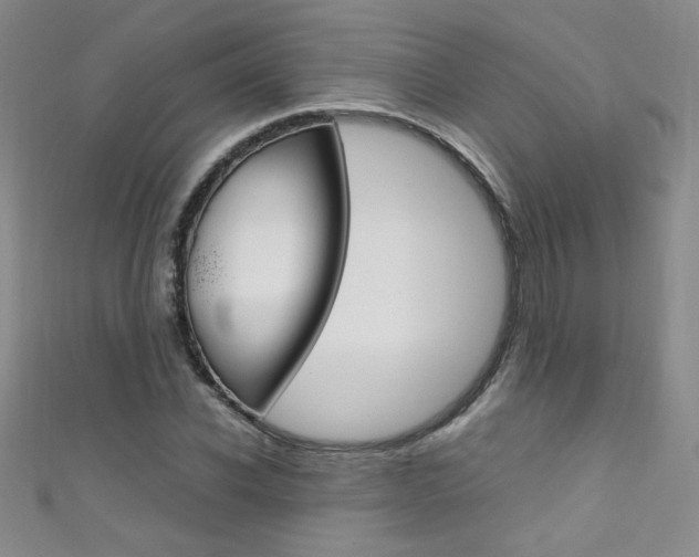 X0000111660926200907171116