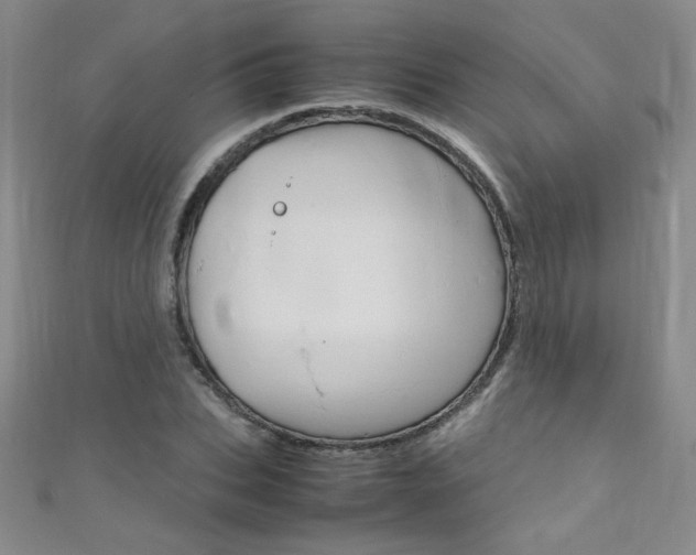 X0000111660927200907171116