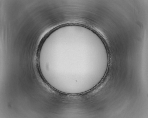X0000111660928200907171116
