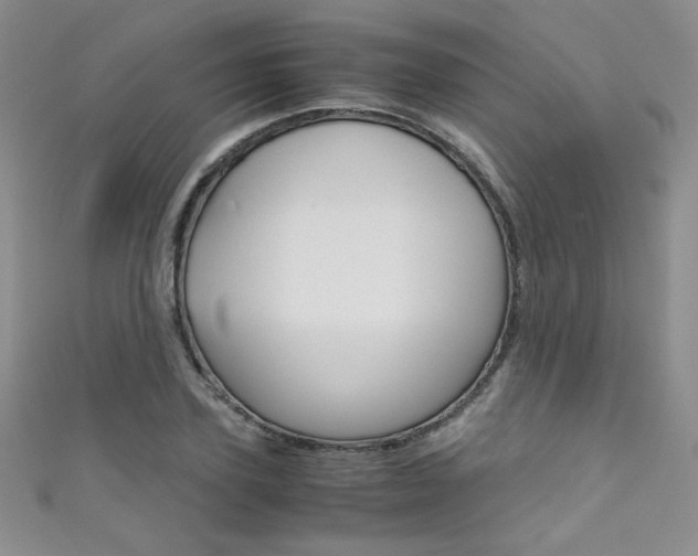 X0000111660931200907171116