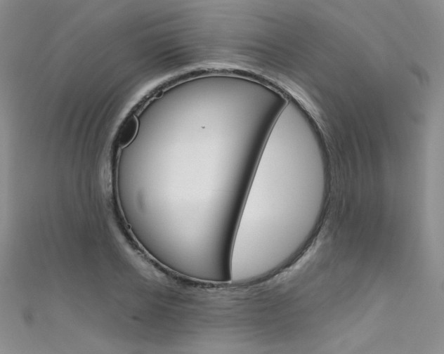 X0000111660934200907171116
