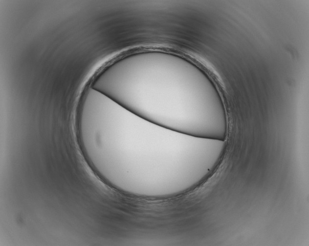 X0000111660935200907171116