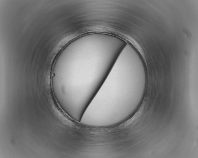 X0000111660938200907171116