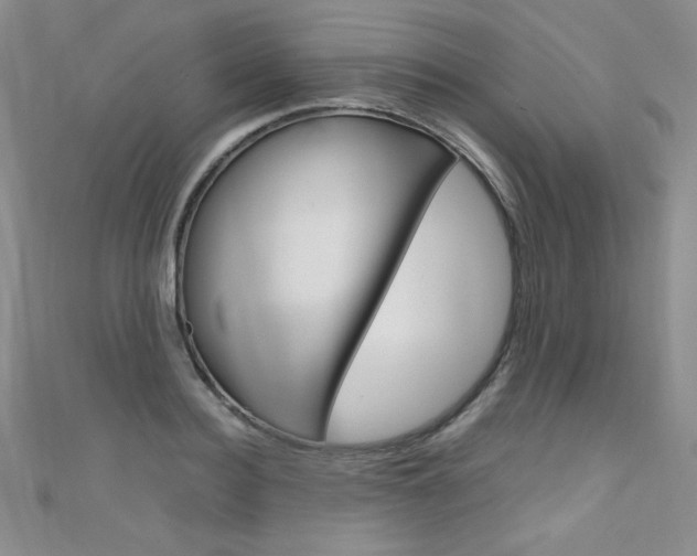 X0000111660940200907171116