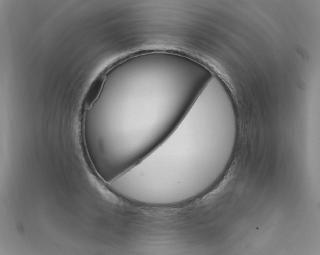 X0000111660942200907171116
