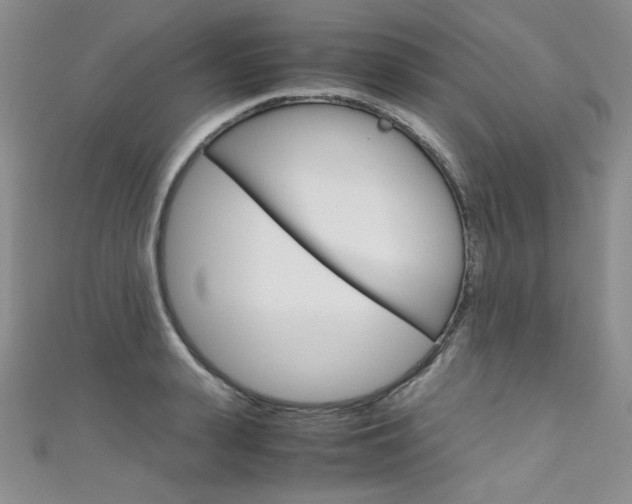 X0000111660943200907171116