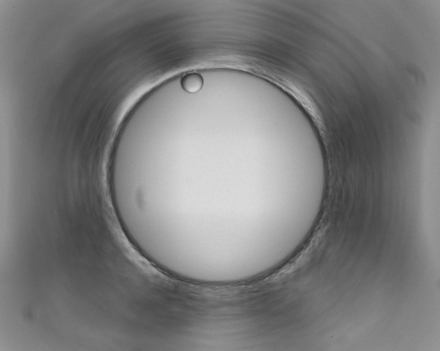X0000111660944200907171116