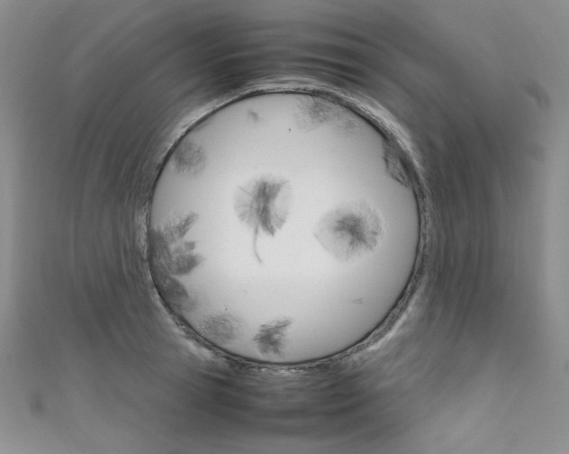 X0000111660945200907171116
