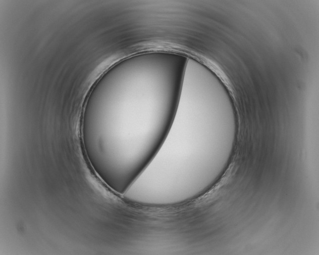 X0000111660946200907171116
