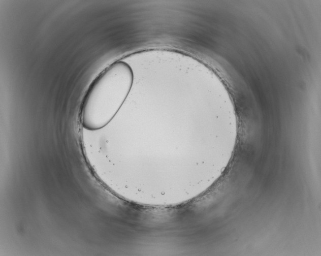 X0000111660950200907171117