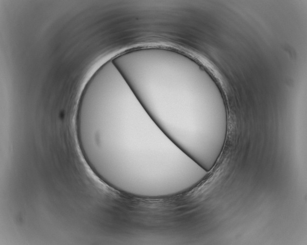 X0000111660951200907171117