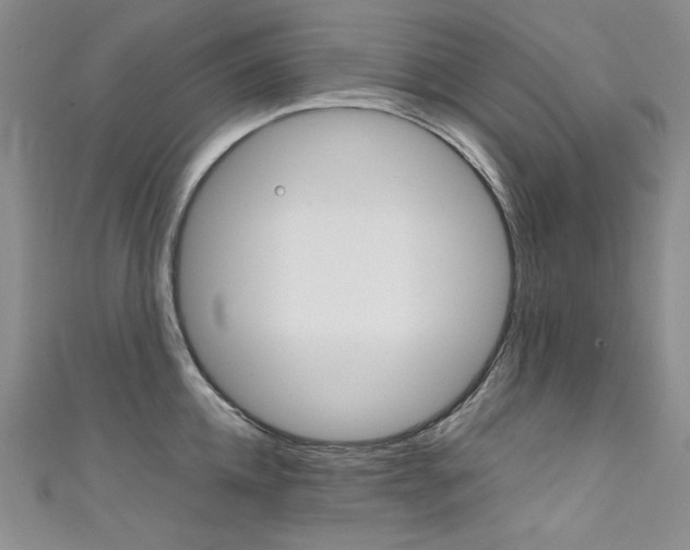 X0000111660952200907171117