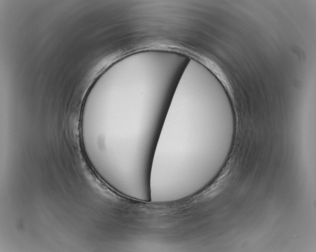 X0000111660954200907171117