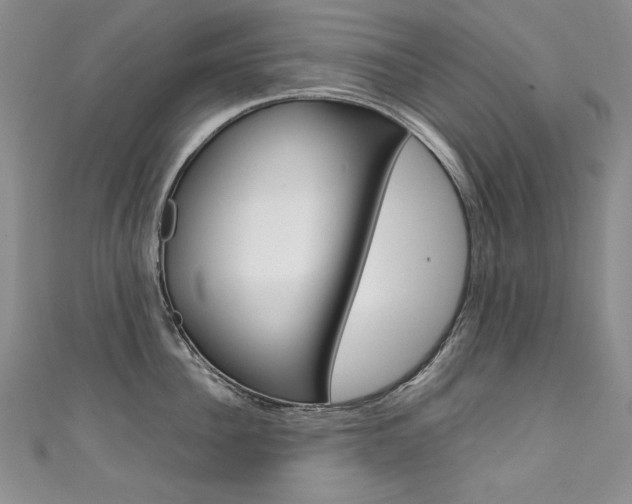 X0000111660956200907171117