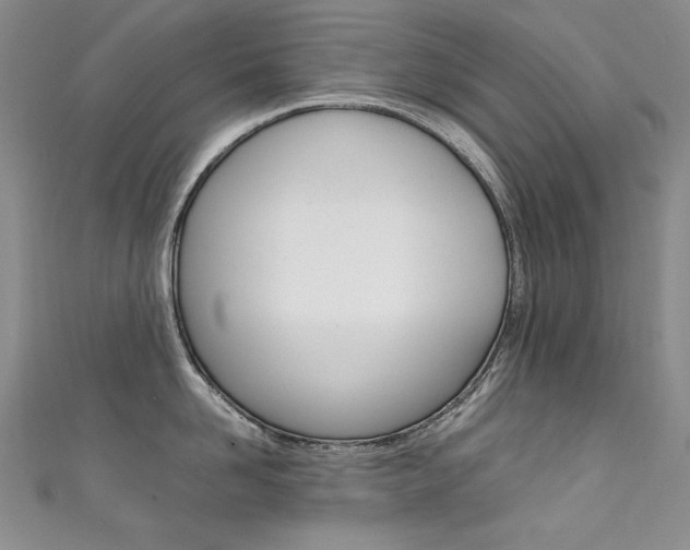 X0000111660958200907171117