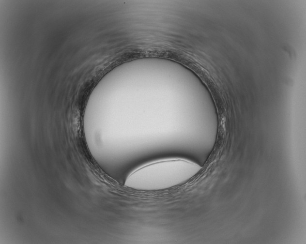 X0000111660963200907171116