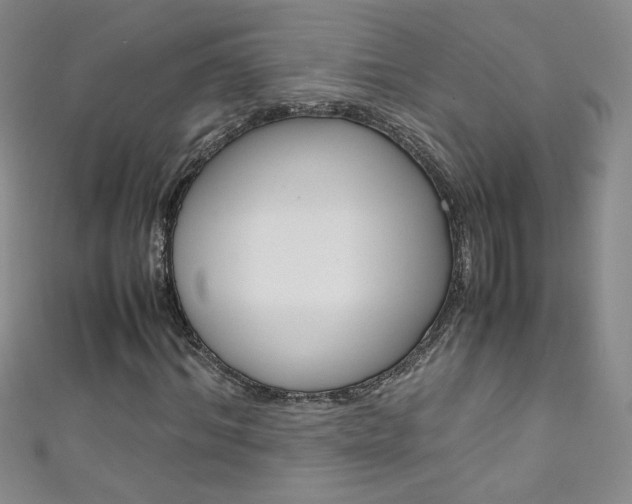 X0000111660964200907171116