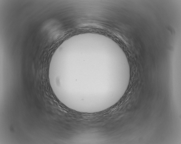 X0000111660965200907171116