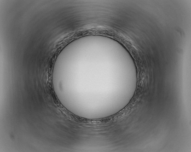 X0000111660966200907171116