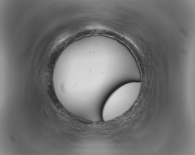 X0000111660967200907171116