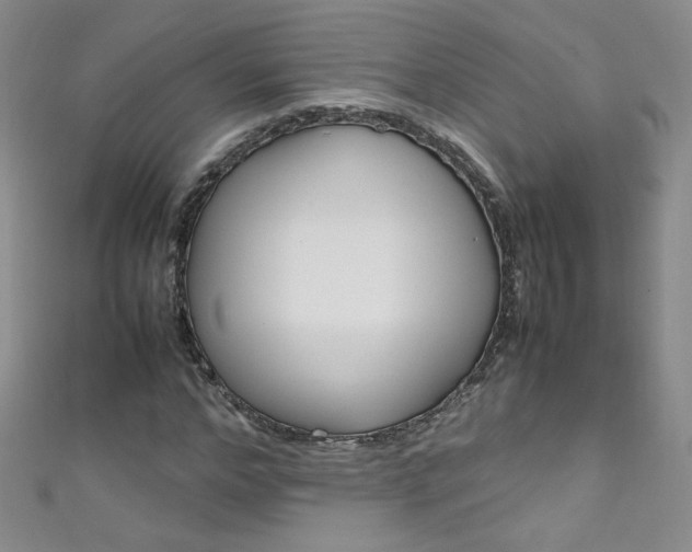 X0000111660968200907171116